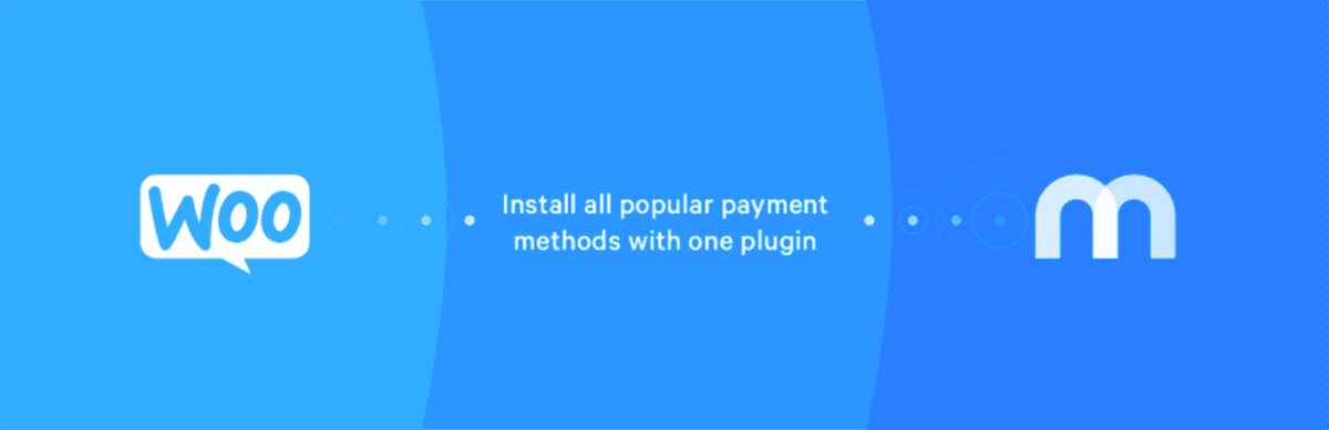 TheeCommerce Best Payment Plugins Mollie Payments